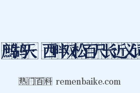 鹧鸪天·西畔双松百尺长近义词是什么意思的图片